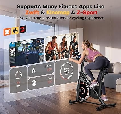 Exercise Bike Adjustable Magnetic Resistance Stationary Bikes for Home