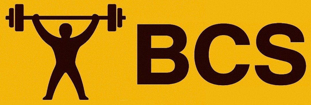 basicchancesolution.online